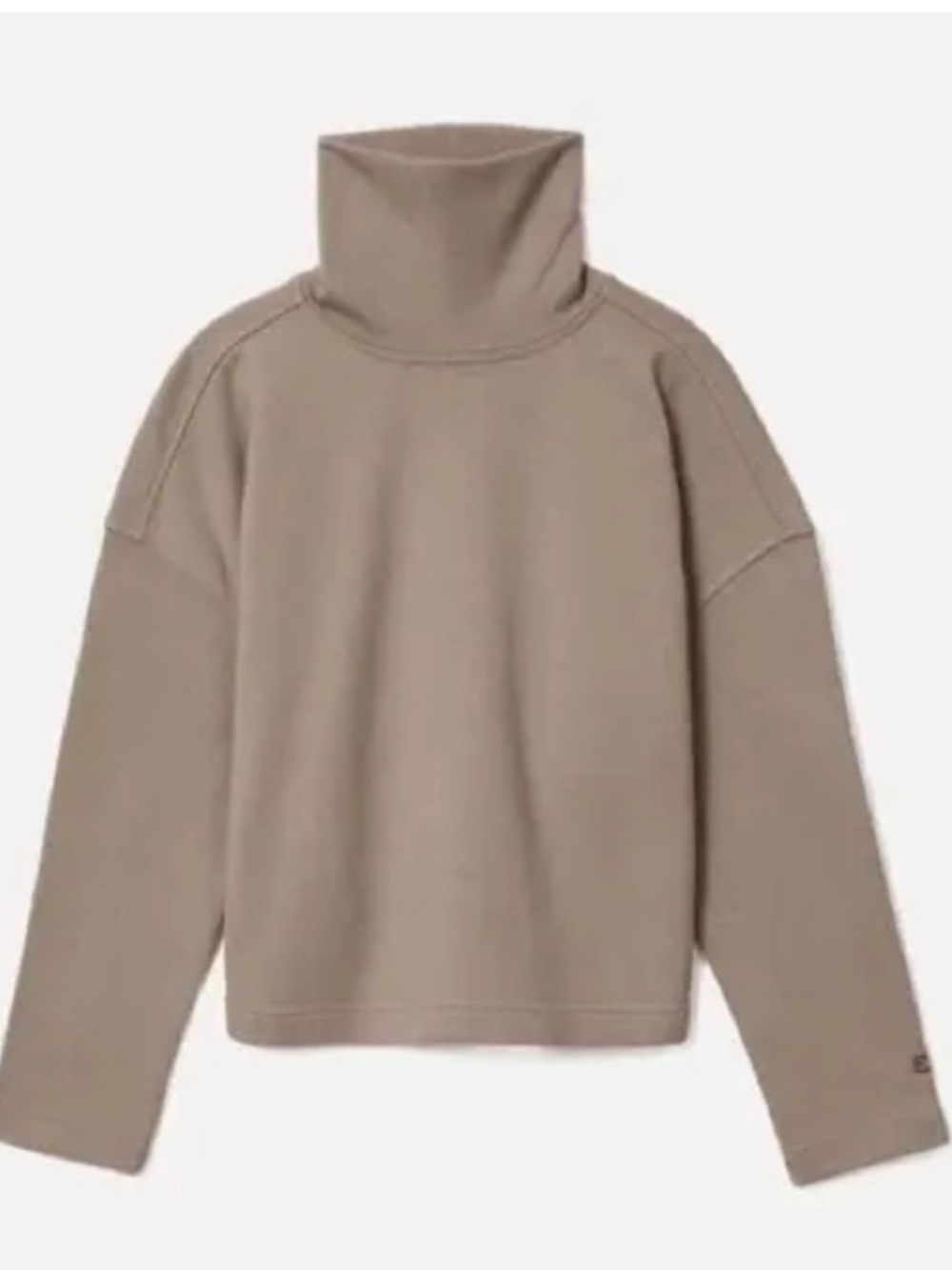 Everlane Turtleneck Sweatshirt in Mocha Organic Cotton Medium nwt